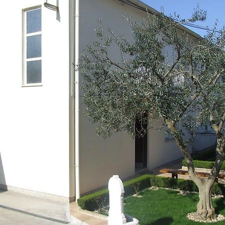 Apartment Singa Zadar Pokoj fotografie